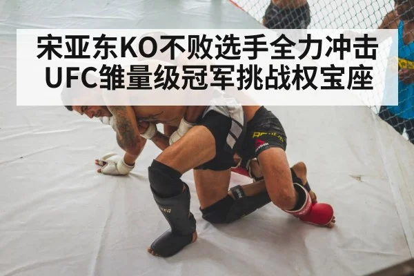 宋亚东KO不败选手全力冲击UFC雏量级冠军挑战权宝座